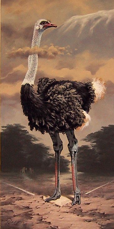 Safe With His Head In The Clouds - Ostrich feeling pretty safe by Linda Herzog
